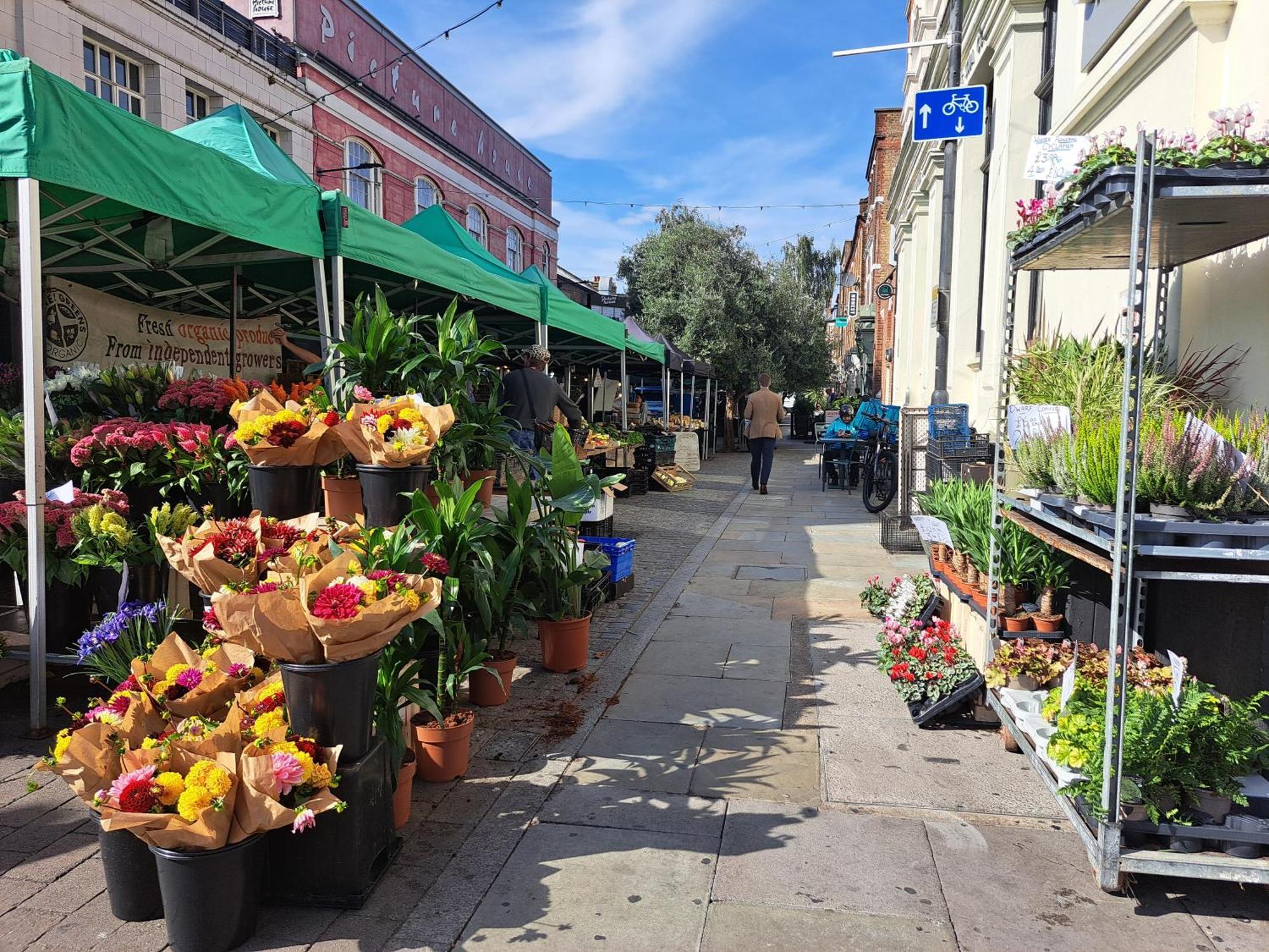 Clapham Serenity Garden Retreat With Free Parking London Kültér fotó